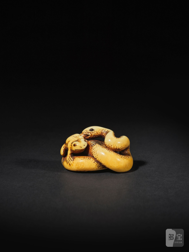 象牙彫根付 蛇蛙 銘「玉陽齋」 19世紀中期 | NETSUKE EN IVOIRE REPRÉSENTANT UN SERPENT ATTRAPANT UN CRAPAUD - 图3
